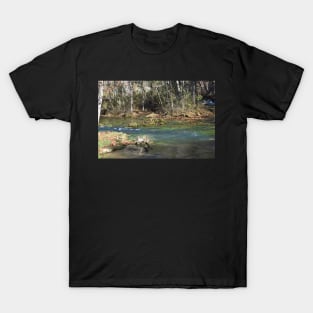 River T-Shirt